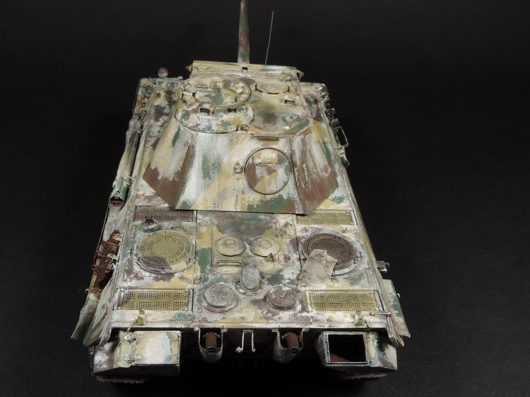 Трофейная PzKpfw V «Panther» Ausf. G DSCN2941