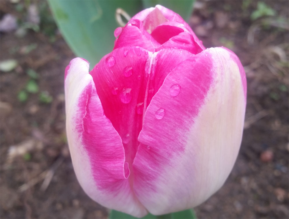 [Image: y20180413_105630.jpg]