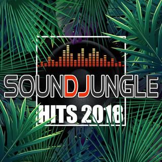 Soundjungle_Hits_2018 mp3 320kbps