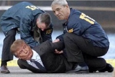 45_C9_B75_F00000578-0-_Fed_up_Trump_being_arrested_by_Mueller_was_a.jpg