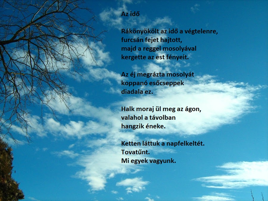 Kép