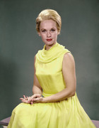 tippi_hedren_d71