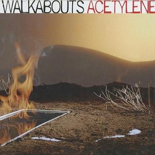 The Walkabouts - Acetylene (2005).mp3 - 320 Kbps