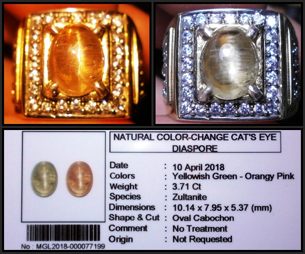 Lelang #16 di 2018 Fenomena Color-Change