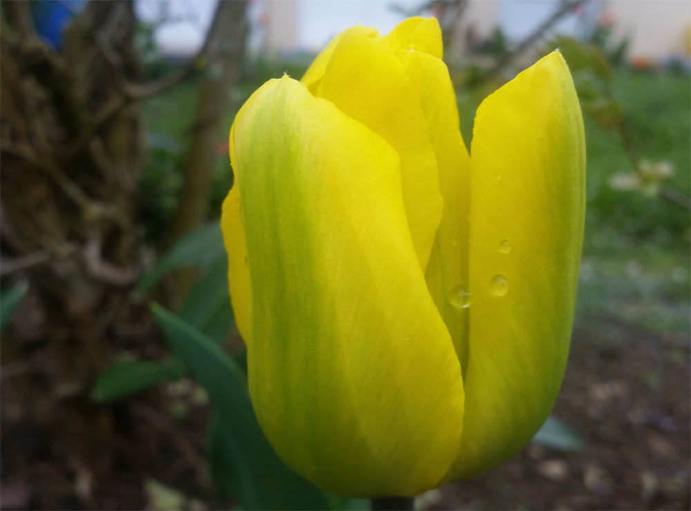 [Image: y20180413_105620.jpg]