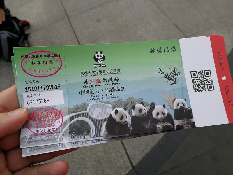 Osas pandas en Chengdú y camino a Fenghuang - China de Oeste a Este (6)