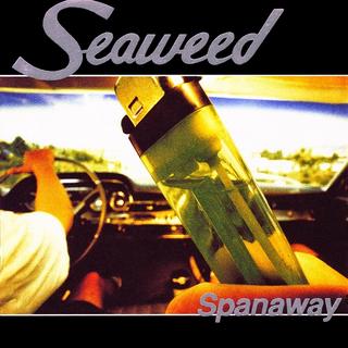 Seaweed - Spanaway (1995).mp3 - 320 Kbps