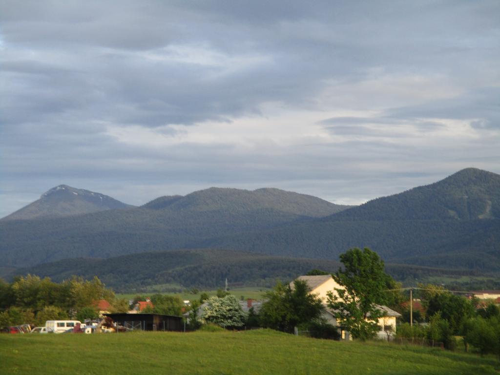 slika