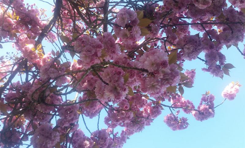 [Image: y20180417_095813.jpg]