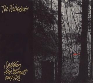 The Walkabouts - Setting The Woods On Fire (1994).mp3 - 320 Kbps