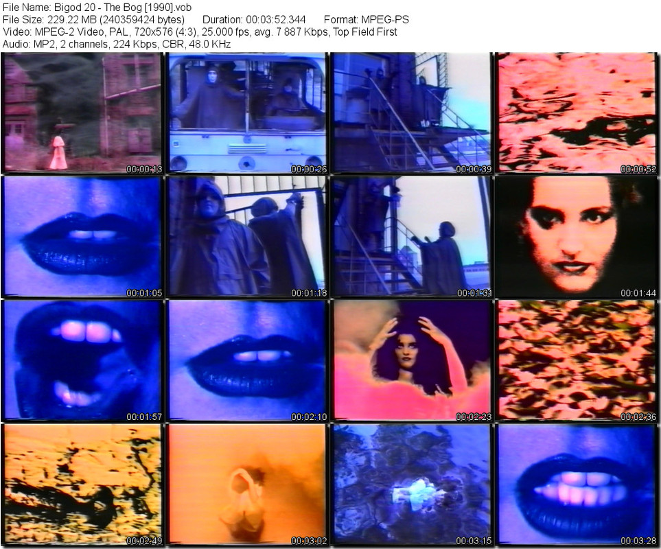 Bigod_20_-_The_Bog_1990__tn.jpg