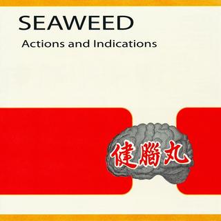 Seaweed - Actions and Indications (1998).mp3 - 320 Kbps