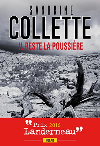 Sandrine Collette - Il reste la poussière