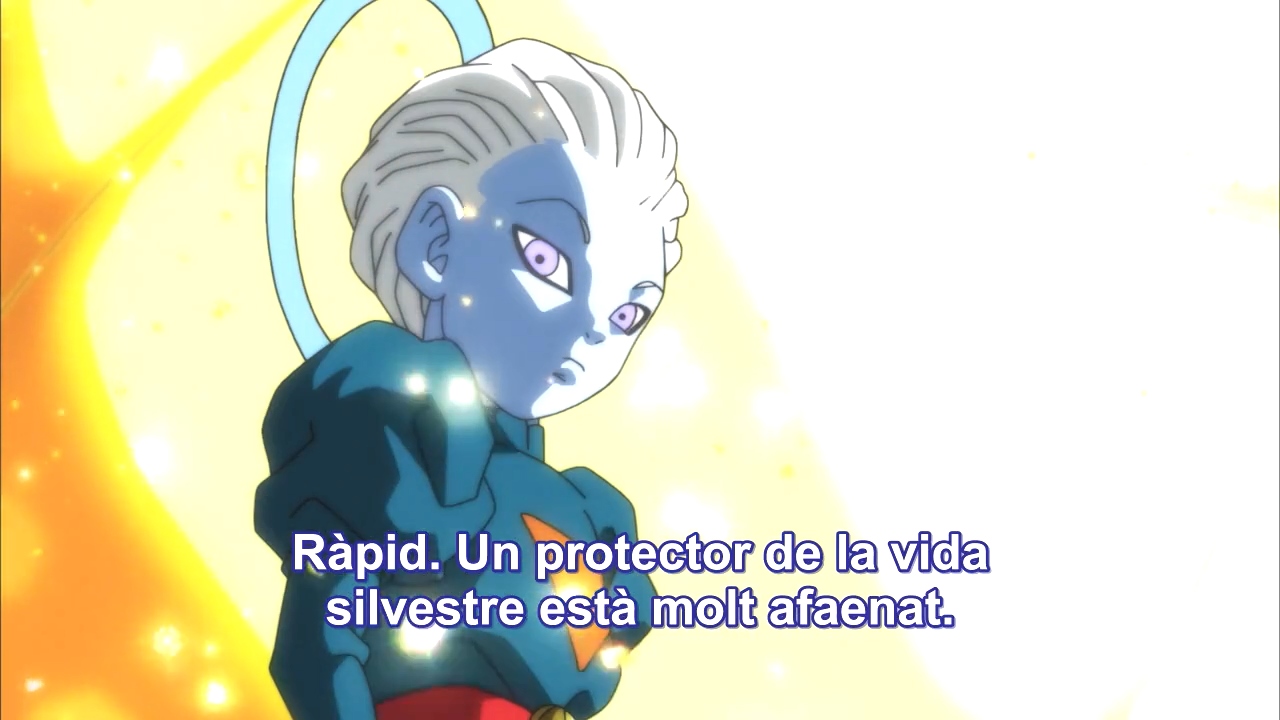 saga Universe Survival, dbs, Gran Sacerdot