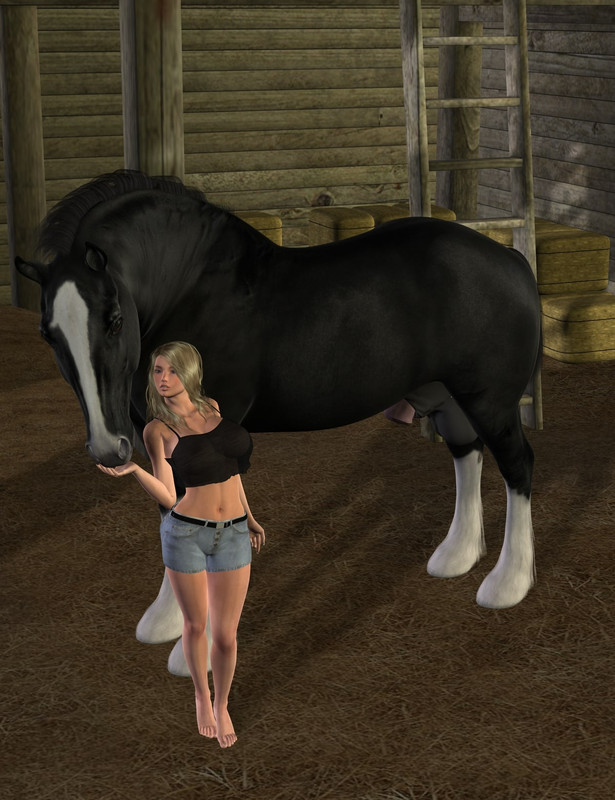 Horse sex games