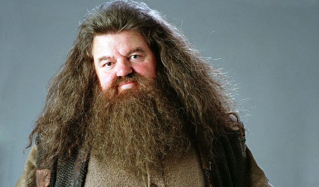 Rubeus Hagrid – Harry Potter Movies