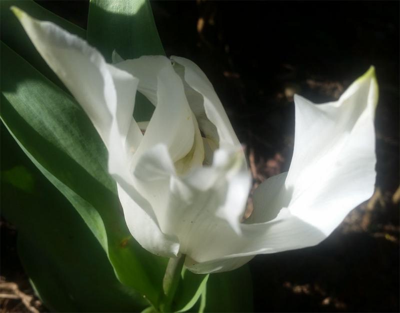 [Image: y20180417_100740.jpg]