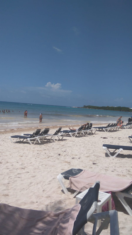 Archivo 09/10/2018 - Algas en las playas de Riviera Maya (México) - Foro Riviera Maya y Caribe Mexicano