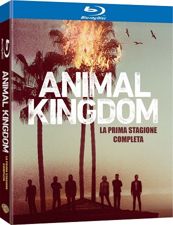 Animal Kingdom (2016) [Stagione 1] (2 Blu-Ray) Full Bluray AVC DD 2.0 iTA/SPA DD 5.1 GER - DTS HD MA 5.1 ENG
