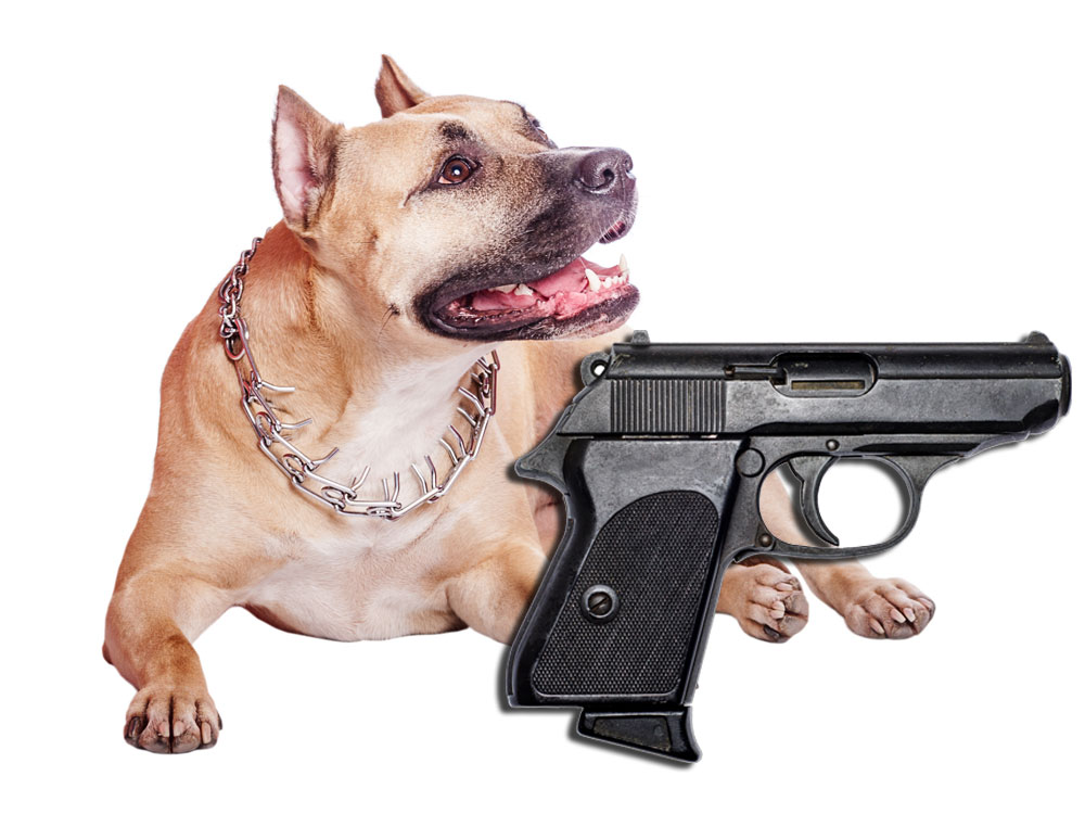 doggun1000.jpg