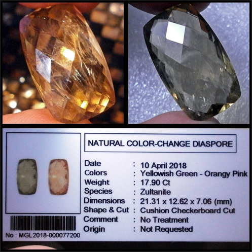 Lelang #16 di 2018 Fenomena Color-Change