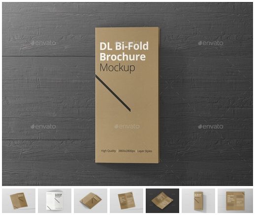 DL Bi-Fold Brochure Mock-Up